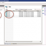 Creación de los 5 sitios en IIS 7.5.