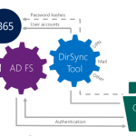 Ilustración 1 – Opciones de Identidades de Office 365.