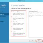 Ilustración 2 – Instalación de MySQL Server 5 en Windows Server | Elección de tipo de instalación.